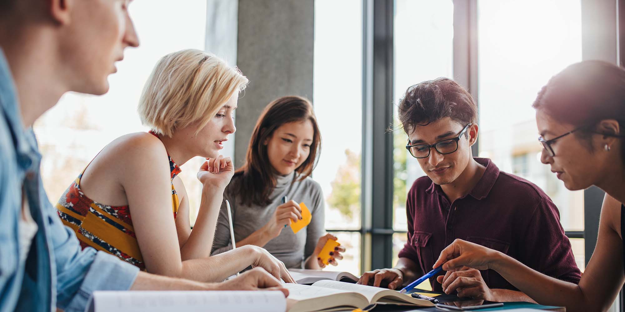 diverse group of students studying