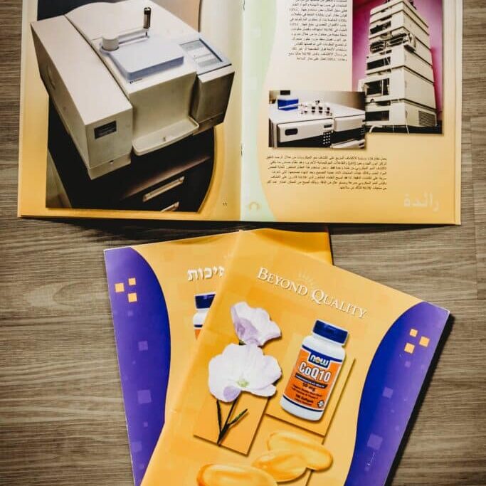 Document Translation Services