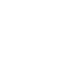 AI Solutions White Icon