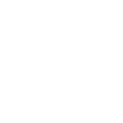 Icon Document Translation White