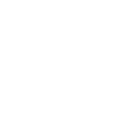 Icon Interpreting Services_white