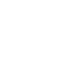 Icon Software Translation White