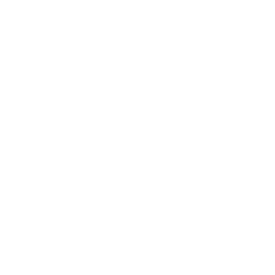 Translation Services