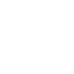 Icon Video Overlay White