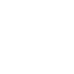 Icon Video Translation White